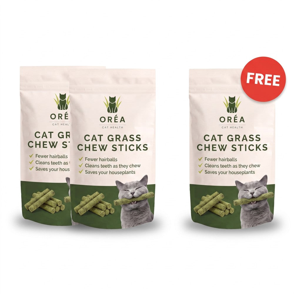Oréa Cat Grass Chew Sticks