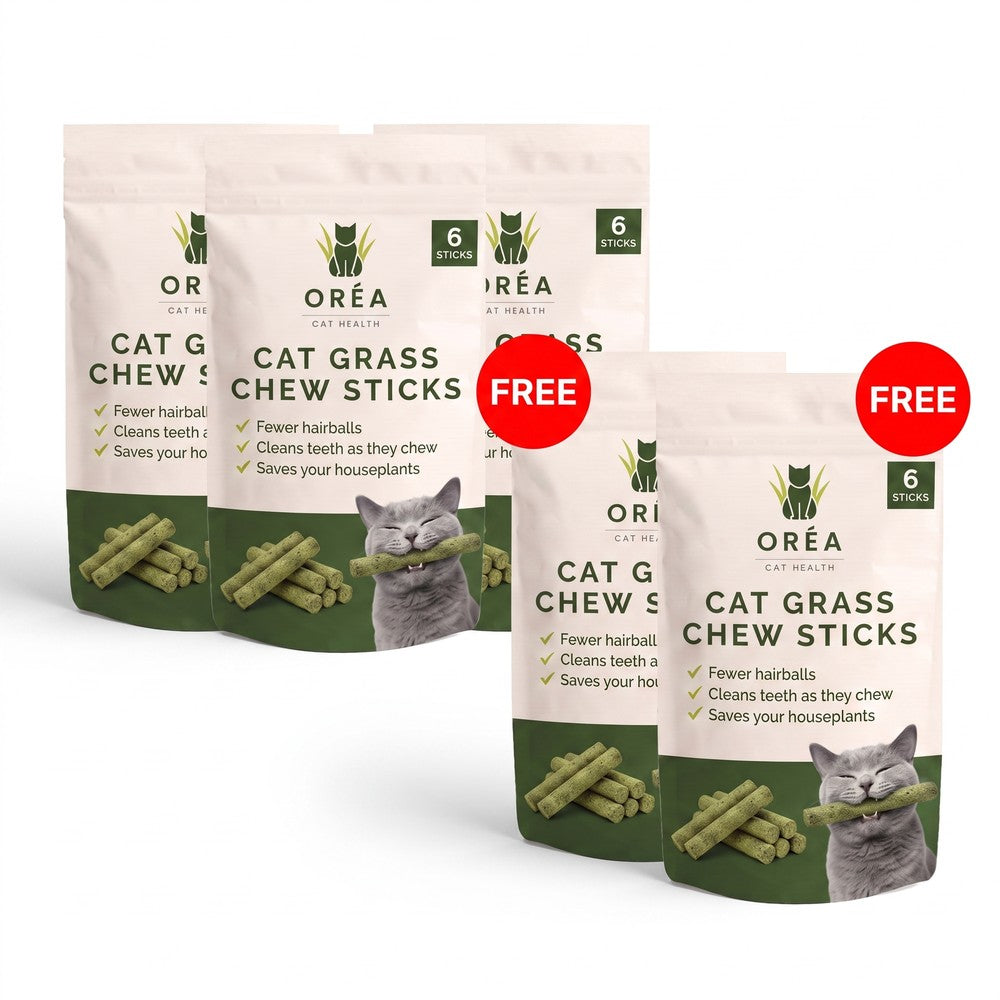 Oréa Cat Grass Chew Sticks