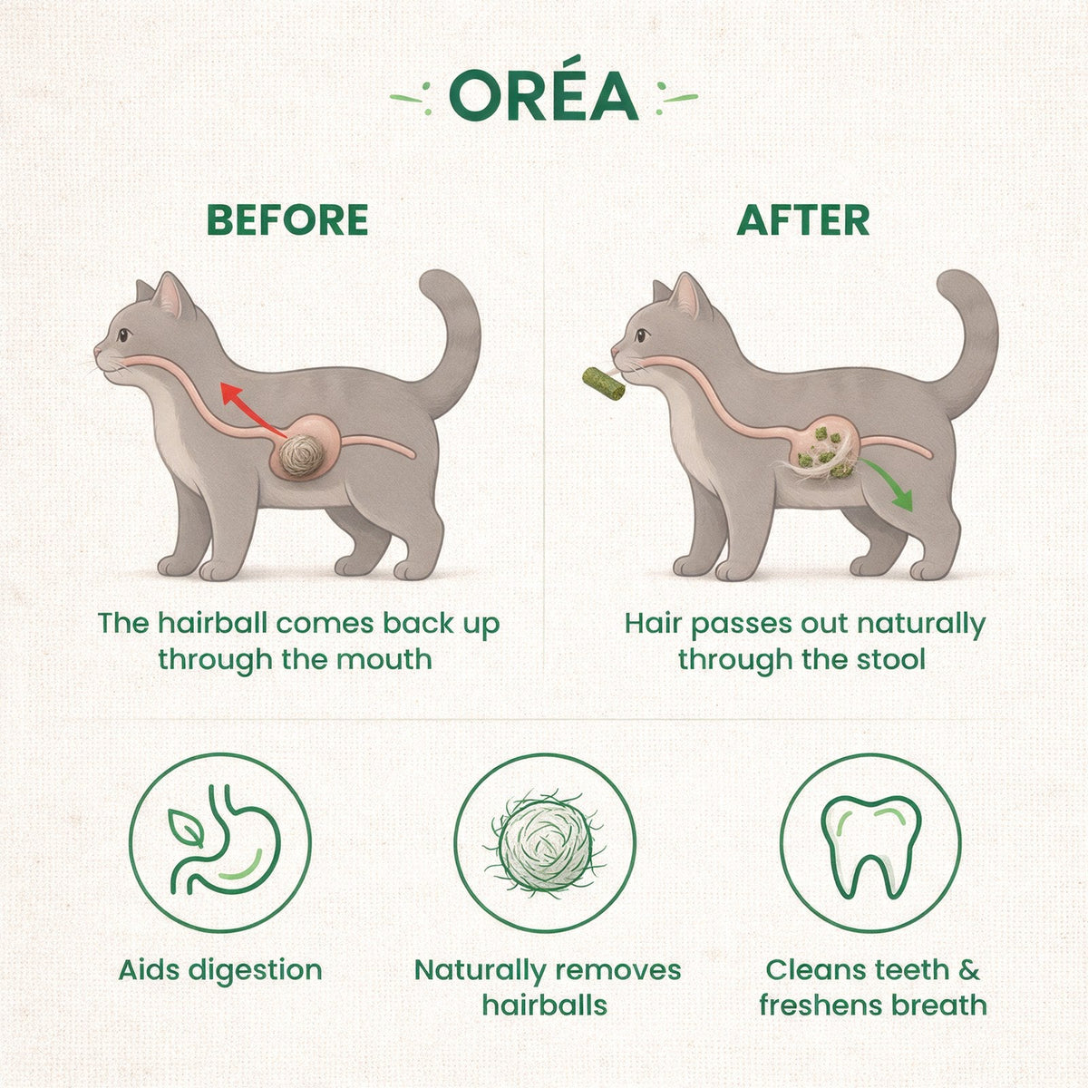Oréa Cat Grass Chew Sticks